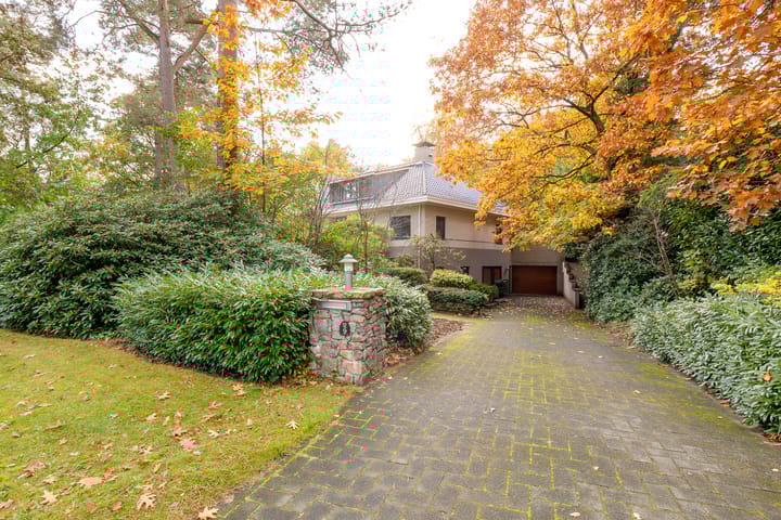 Foto 8 van Witte de Withlaan 9