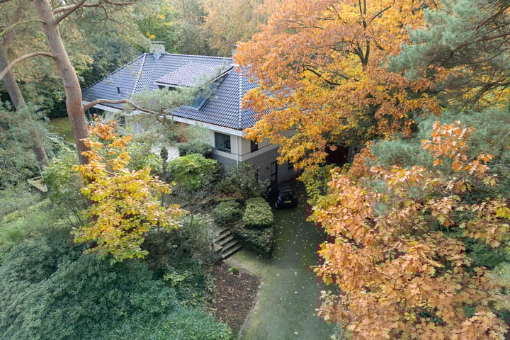 Foto 9 van Witte de Withlaan 9