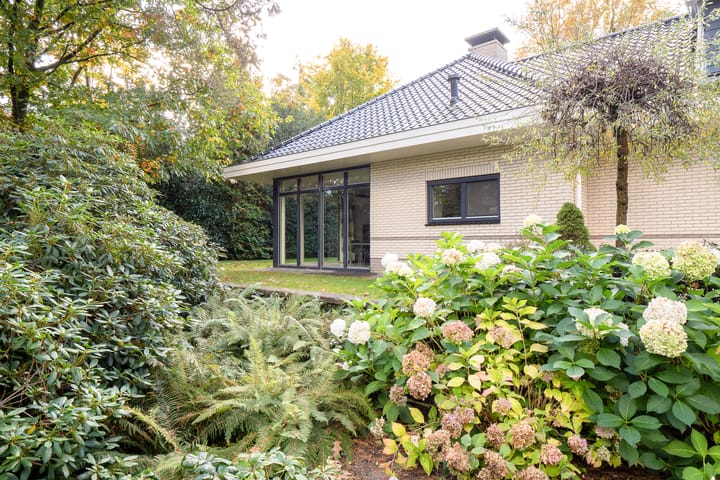 Foto 12 van Witte de Withlaan 9