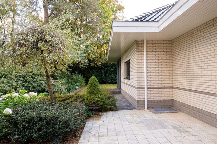 Foto 13 van Witte de Withlaan 9