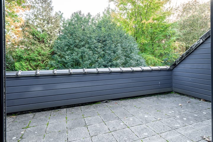 Foto 39 van Witte de Withlaan 9