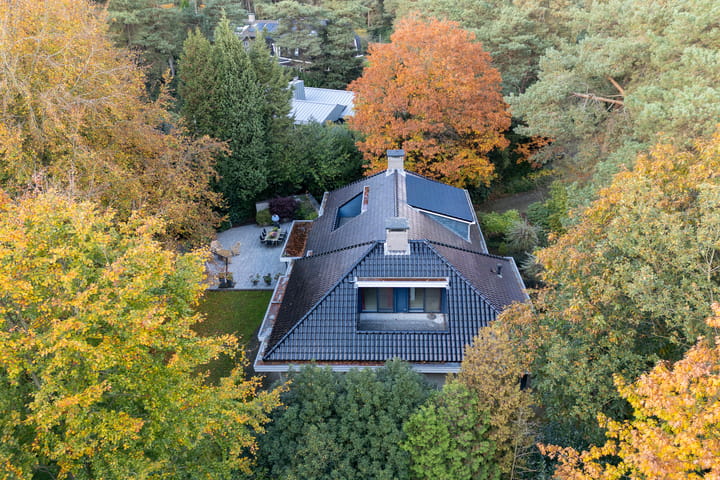 Foto 56 van Witte de Withlaan 9