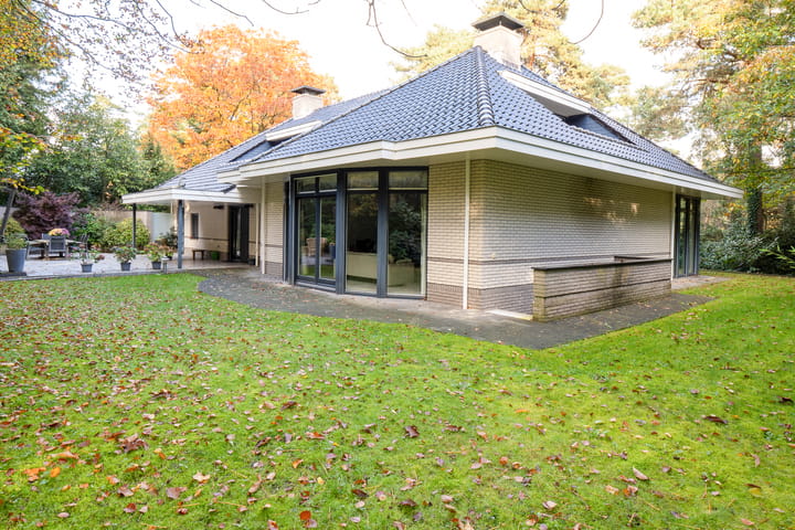 Foto 57 van Witte de Withlaan 9