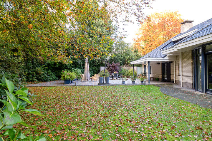 Foto 58 van Witte de Withlaan 9