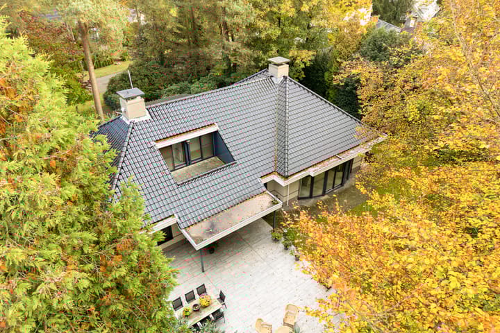 Foto 60 van Witte de Withlaan 9