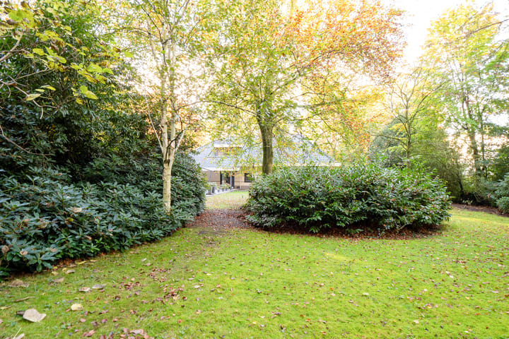 Foto 62 van Witte de Withlaan 9