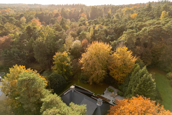 Foto 63 van Witte de Withlaan 9