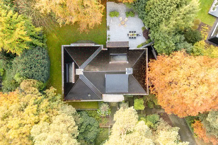 Foto 64 van Witte de Withlaan 9