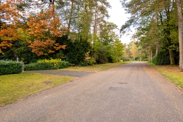 Foto 65 van Witte de Withlaan 9