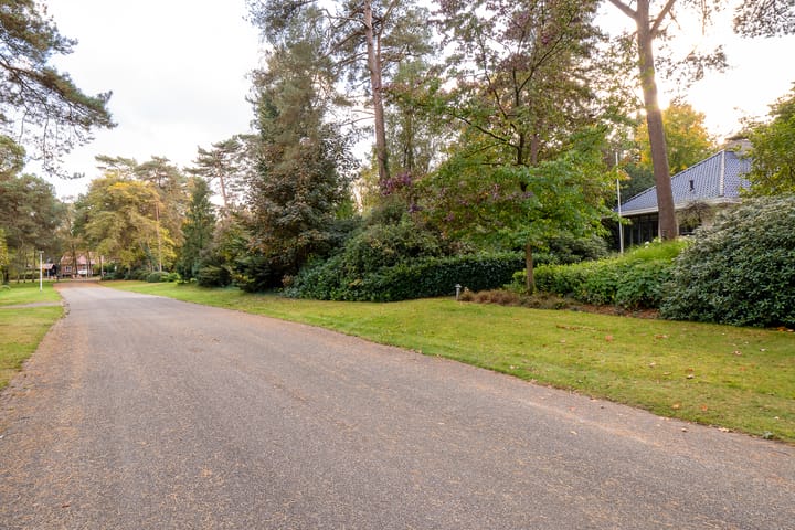 Foto 66 van Witte de Withlaan 9