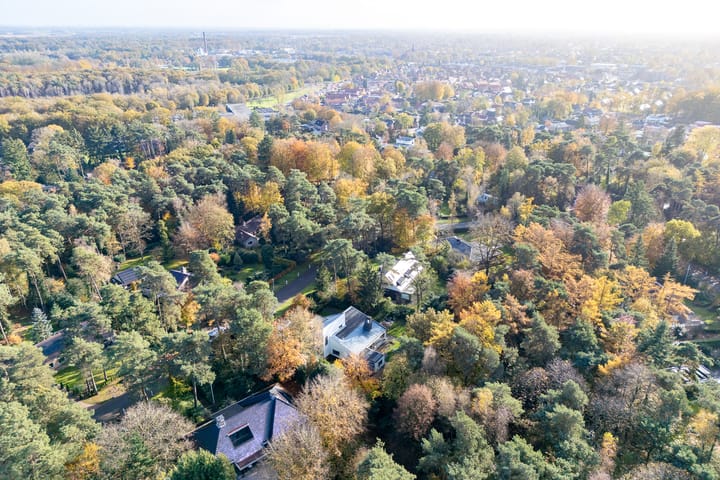 Foto 67 van Witte de Withlaan 9