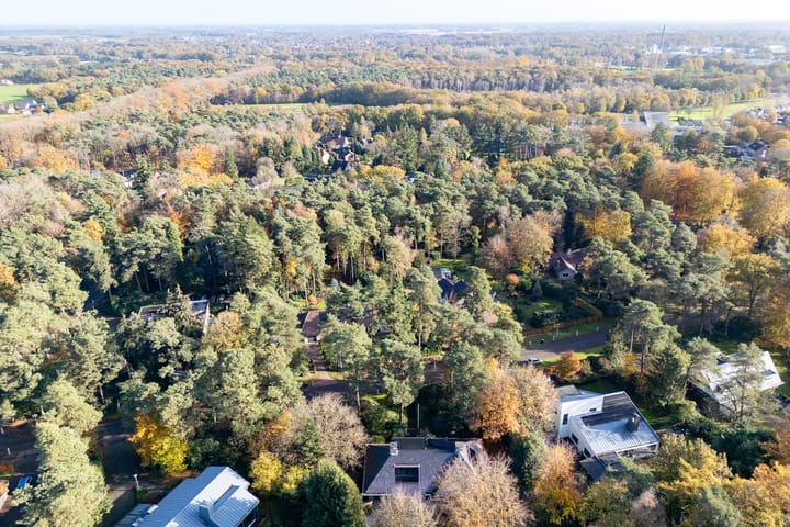 Foto 68 van Witte de Withlaan 9