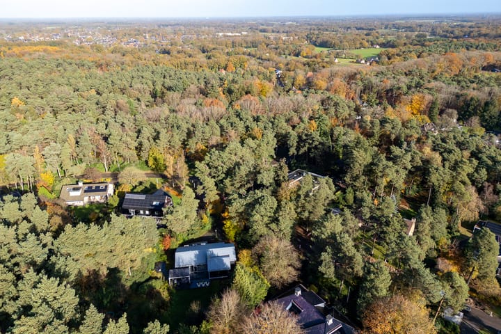 Foto 69 van Witte de Withlaan 9