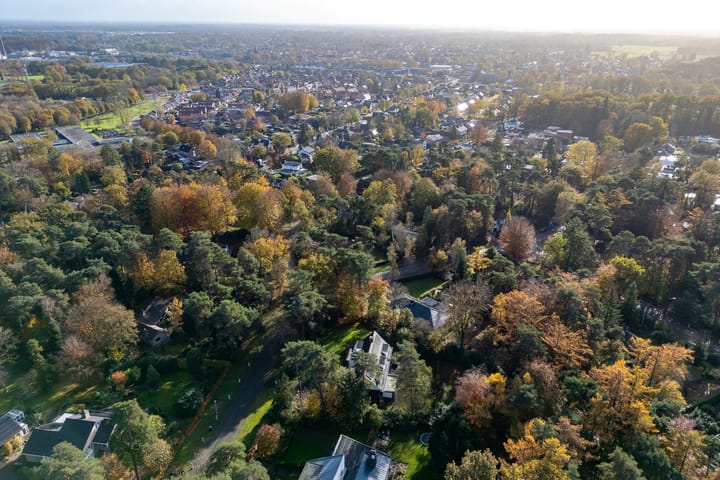 Foto 71 van Witte de Withlaan 9