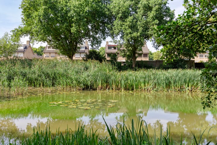 Foto 4 van Gelissenstraat 12