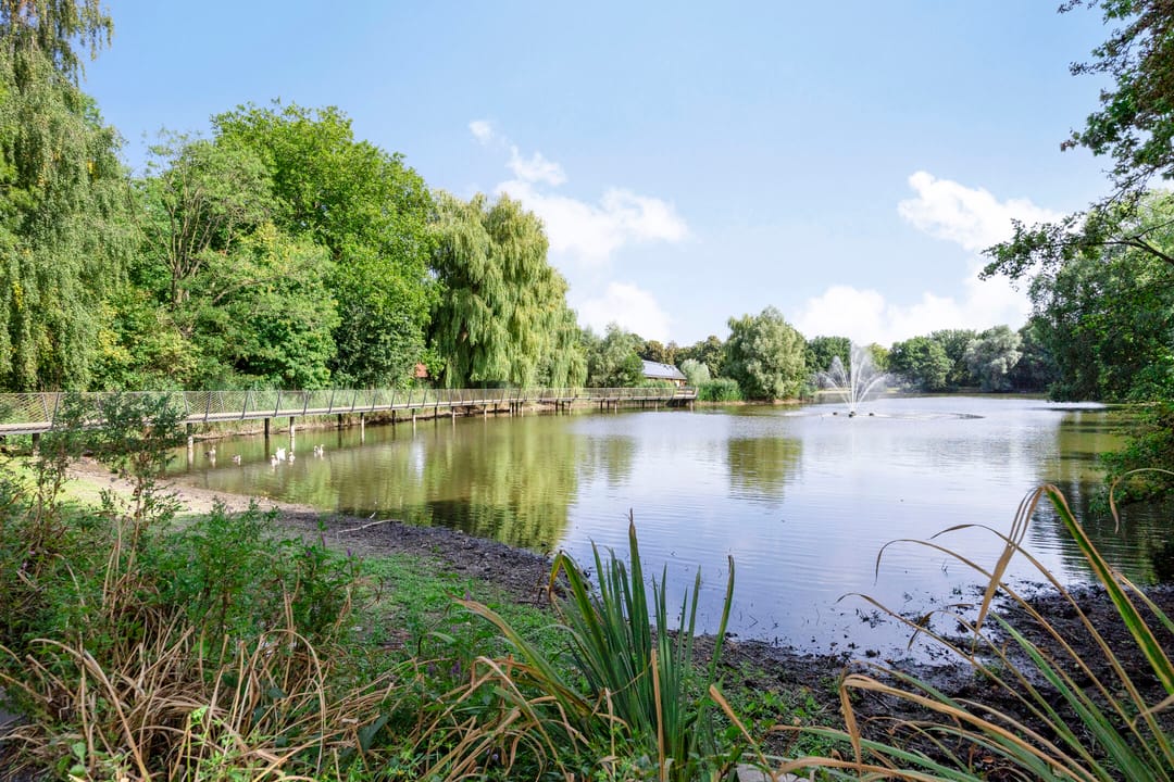 Foto 37 van Gelissenstraat 12