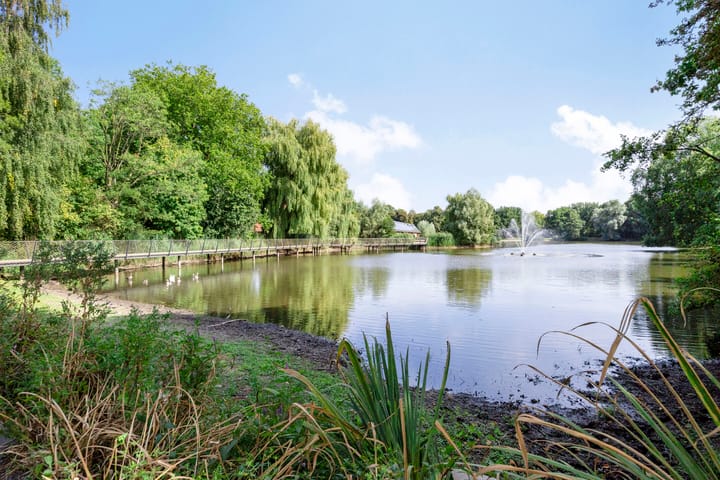 Photo 37 of Gelissenstraat 12