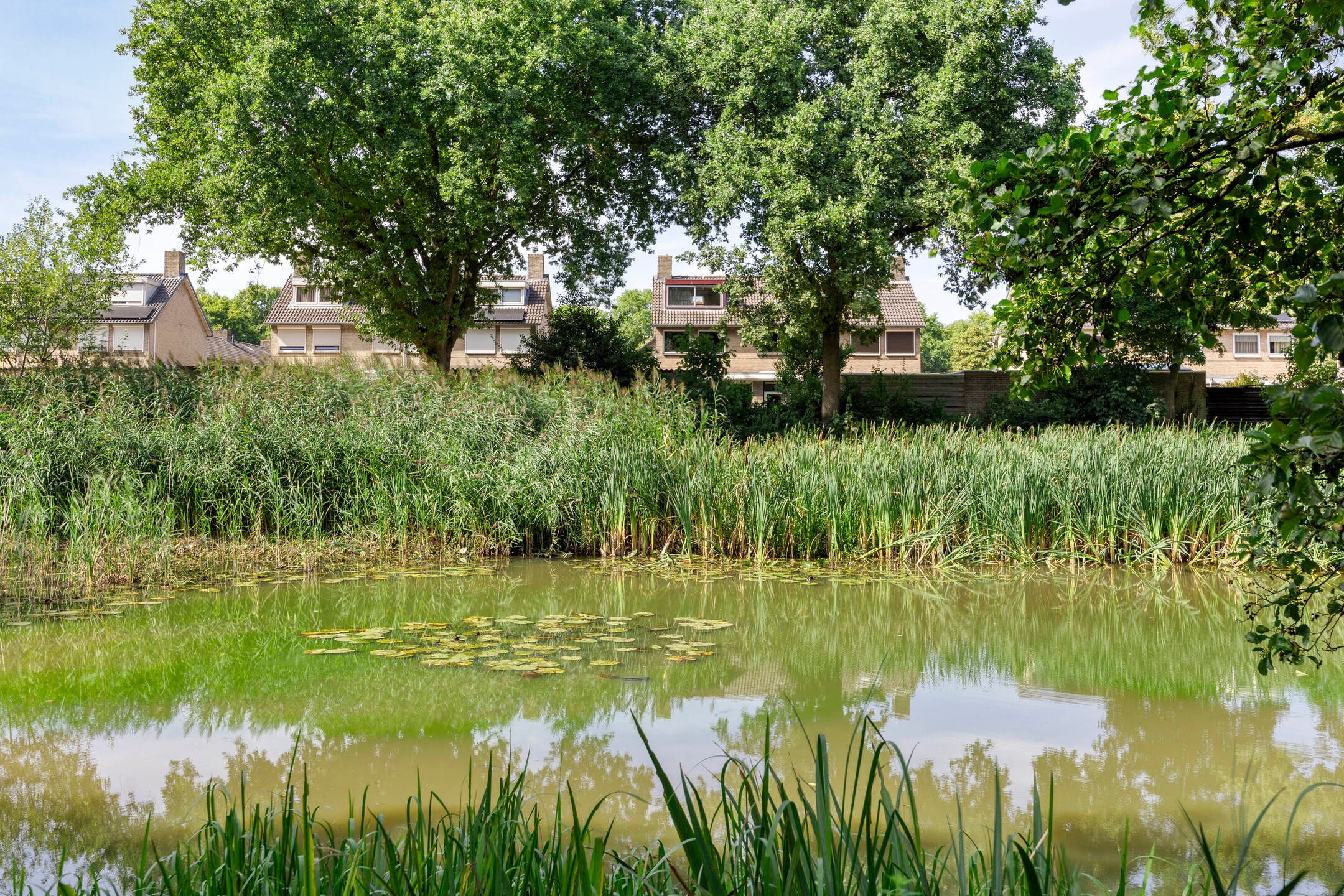 Foto 39 van Gelissenstraat 12