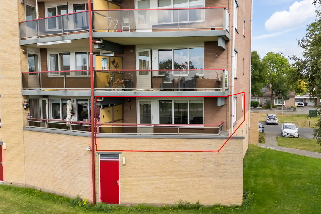 Photo 2 of Smeetsmastins 12