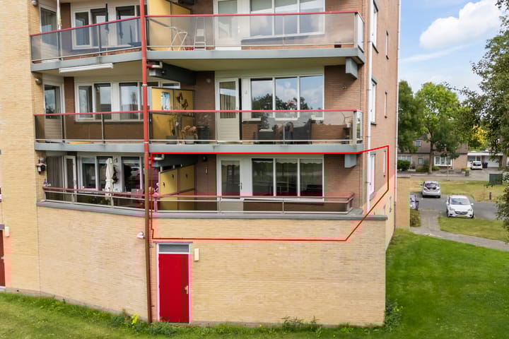 Photo 2 of Smeetsmastins 12