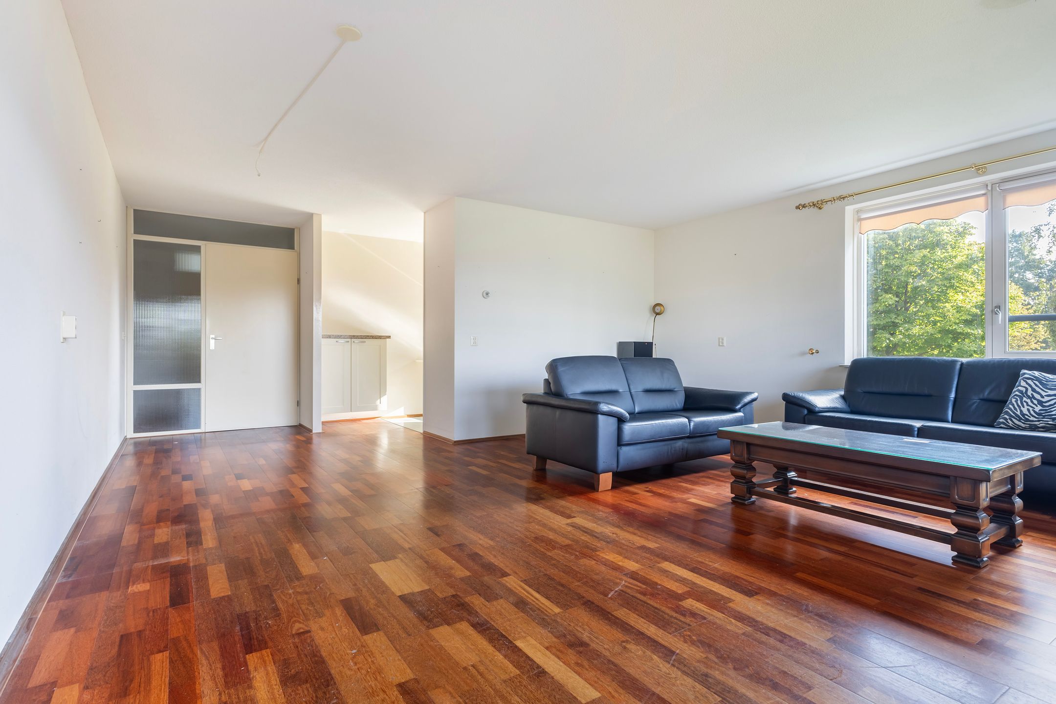 Photo 3 of Smeetsmastins 12