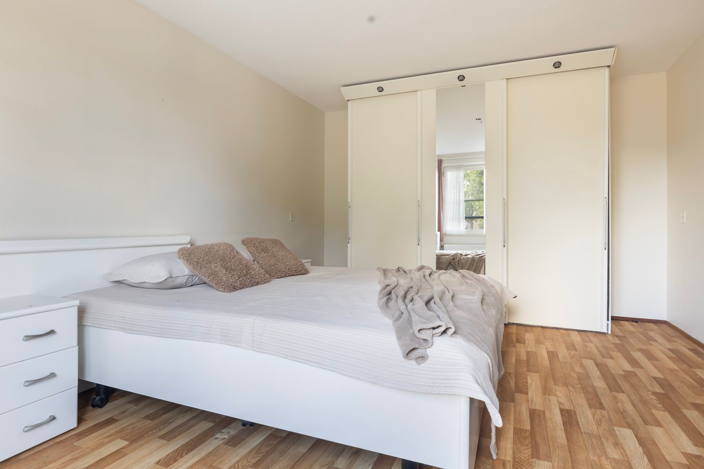 Photo 5 of Smeetsmastins 12