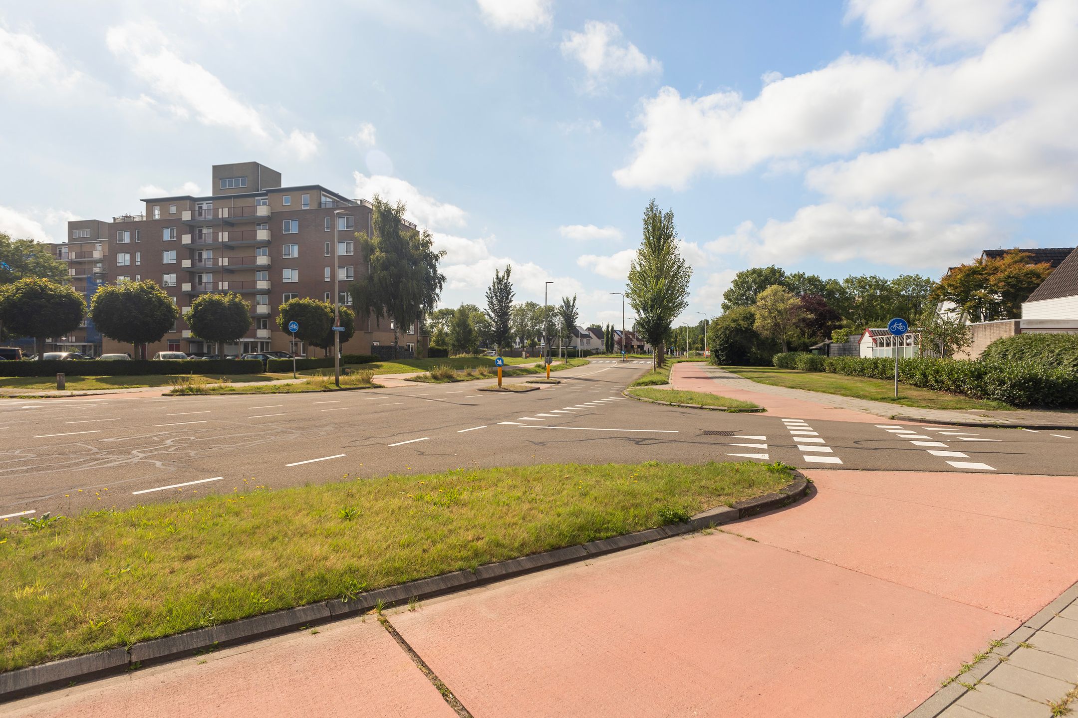 Photo 6 of Smeetsmastins 12