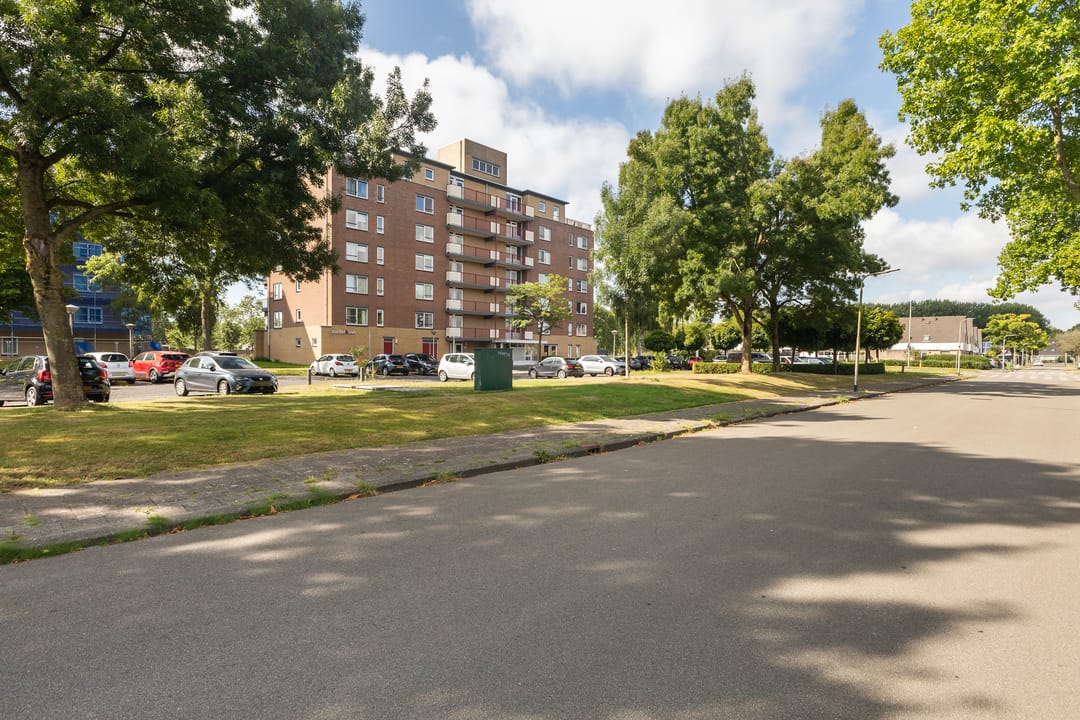 Photo 7 of Smeetsmastins 12