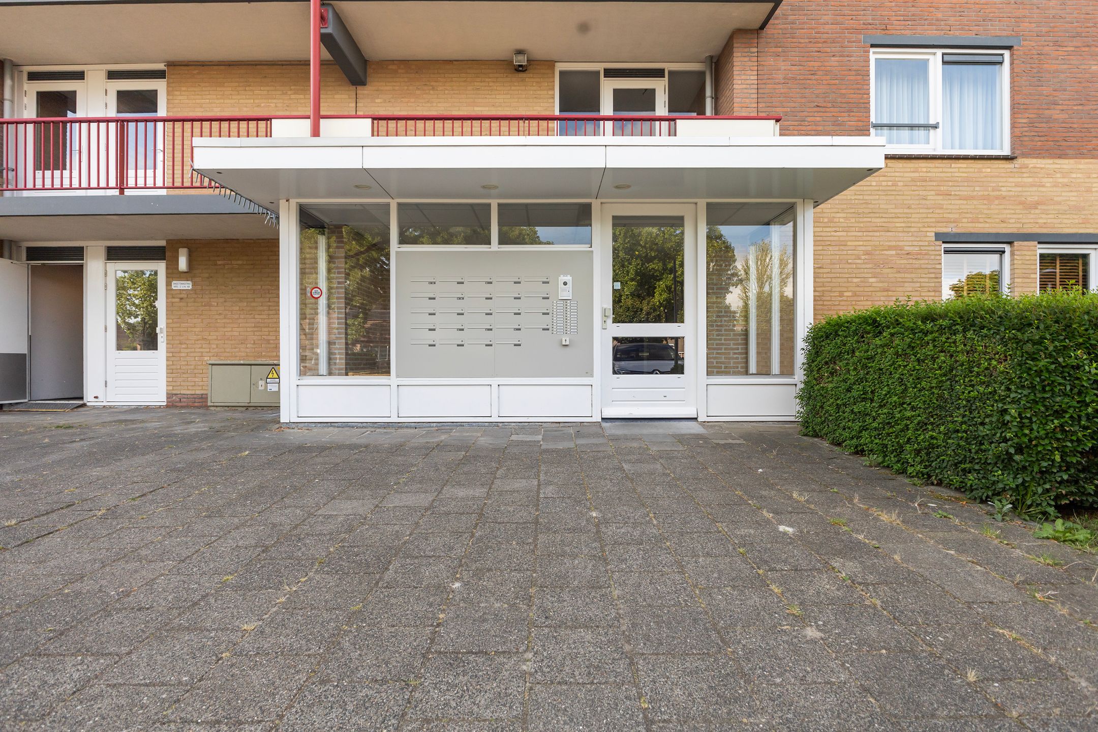 Photo 9 of Smeetsmastins 12