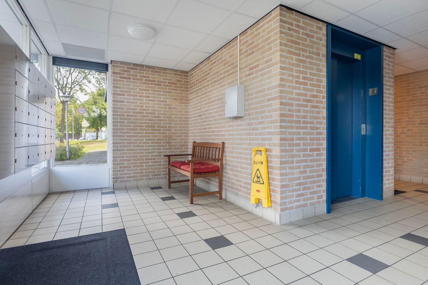 Photo 10 of Smeetsmastins 12