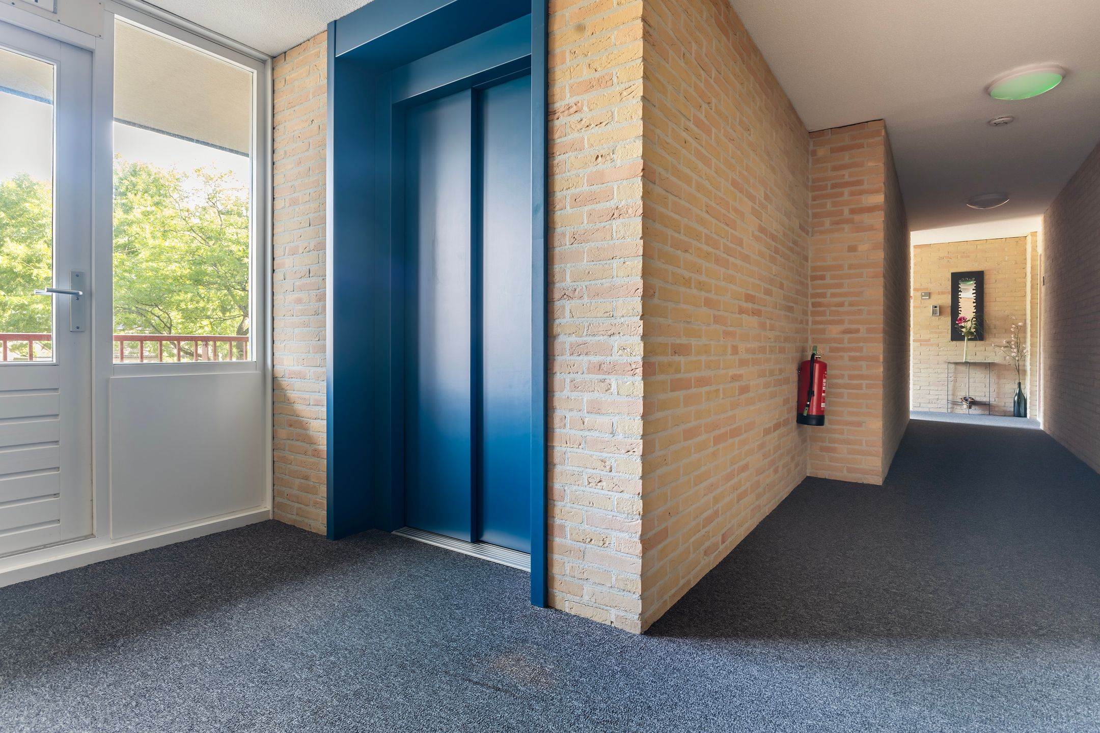 Photo 12 of Smeetsmastins 12