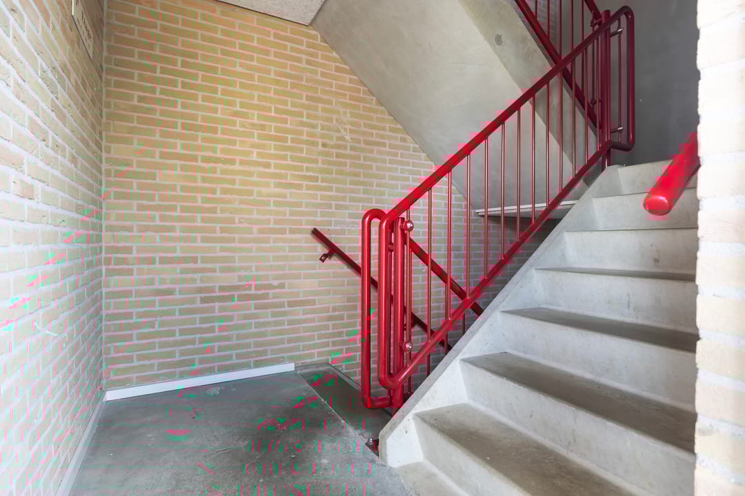 Photo 13 of Smeetsmastins 12