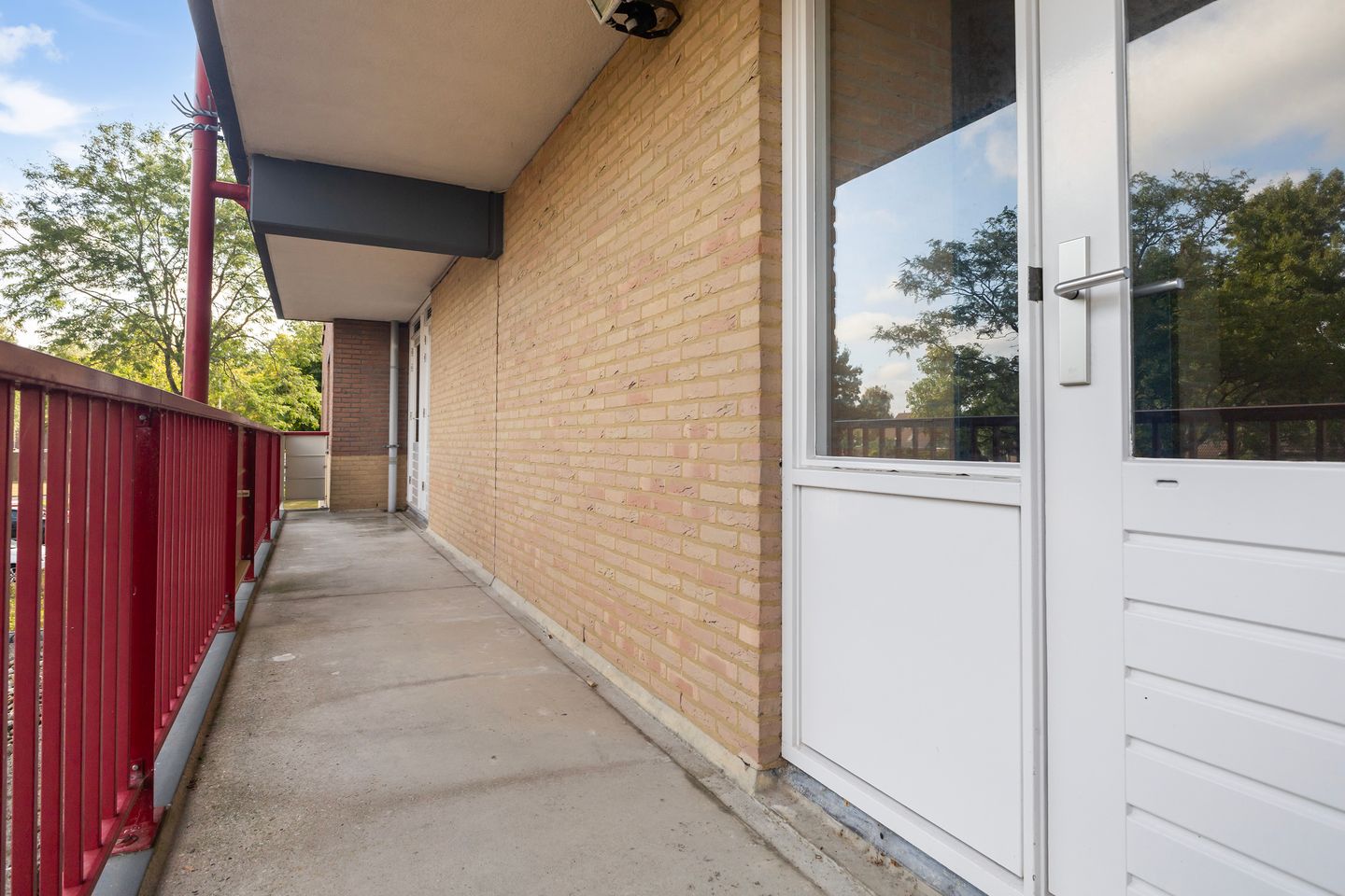 Photo 14 of Smeetsmastins 12