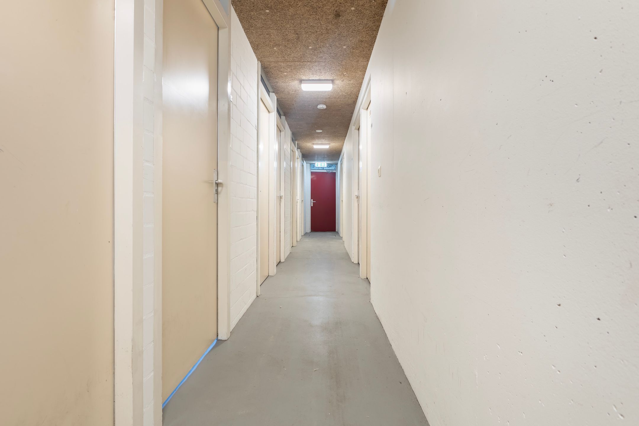 Photo 15 of Smeetsmastins 12