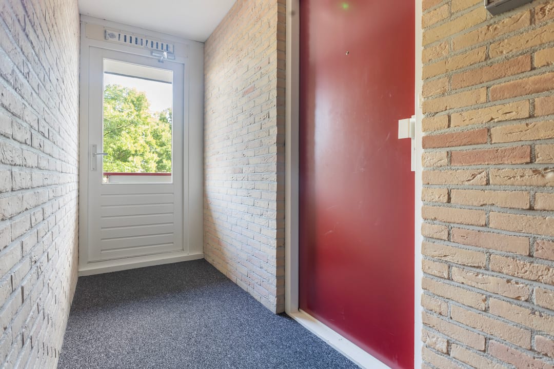 Photo 16 of Smeetsmastins 12