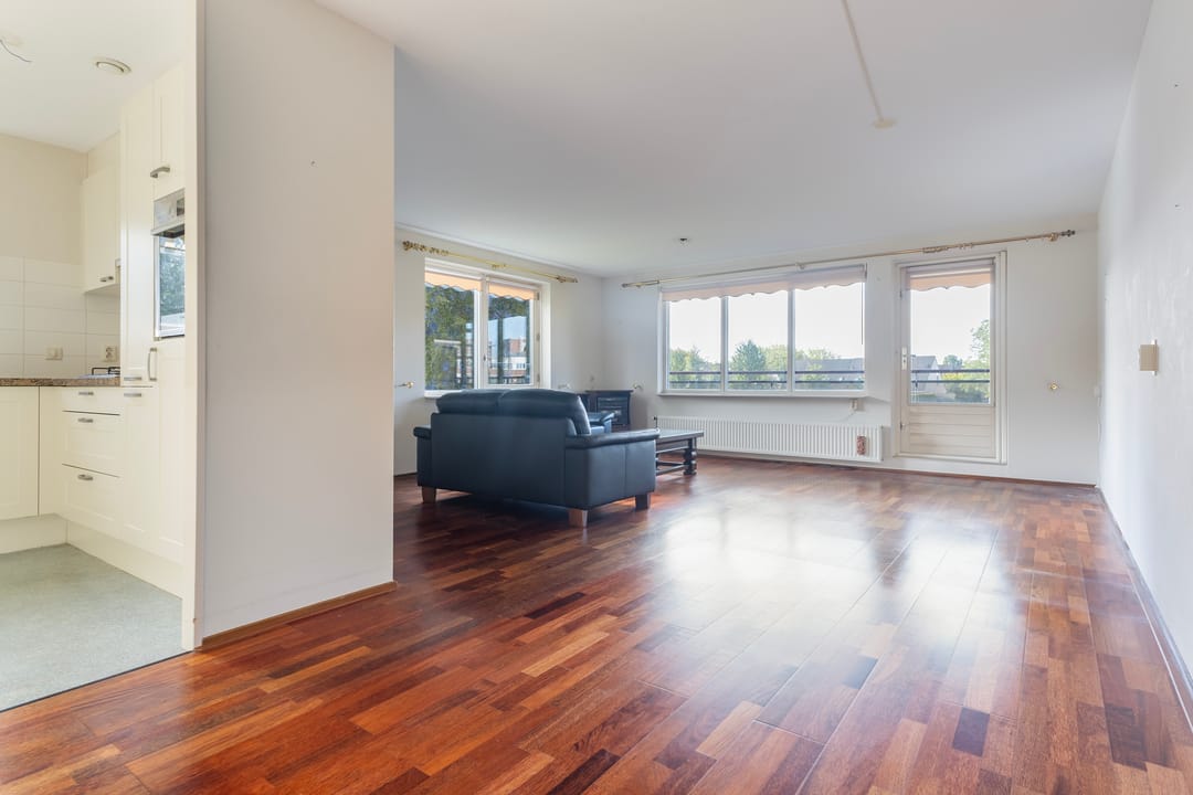 Photo 17 of Smeetsmastins 12