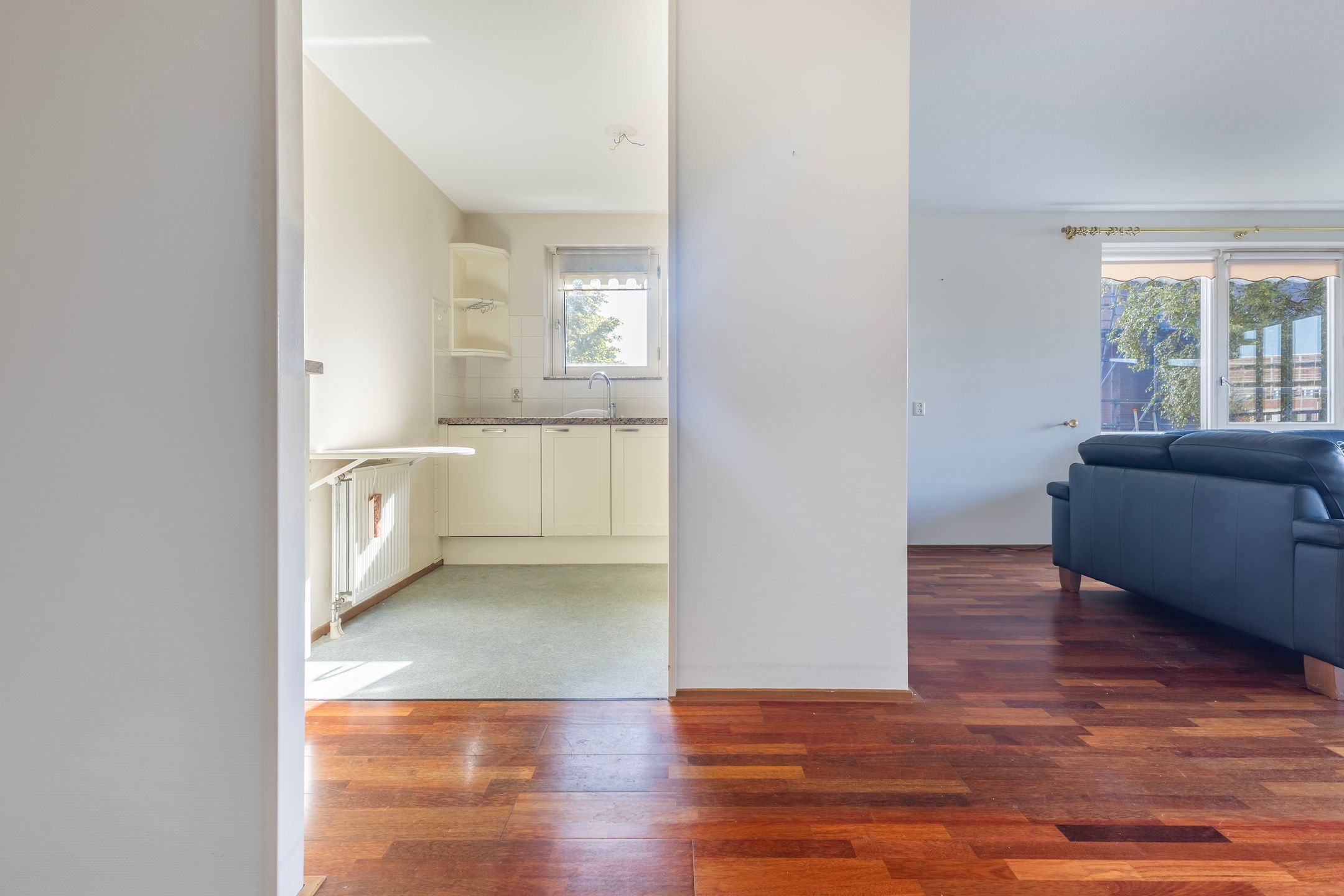 Photo 18 of Smeetsmastins 12