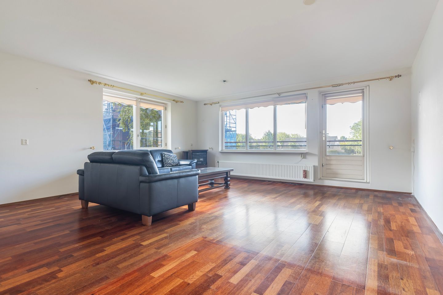 Photo 19 of Smeetsmastins 12