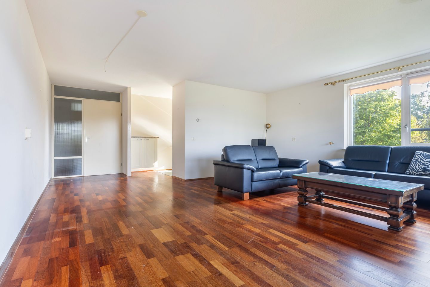 Photo 20 of Smeetsmastins 12