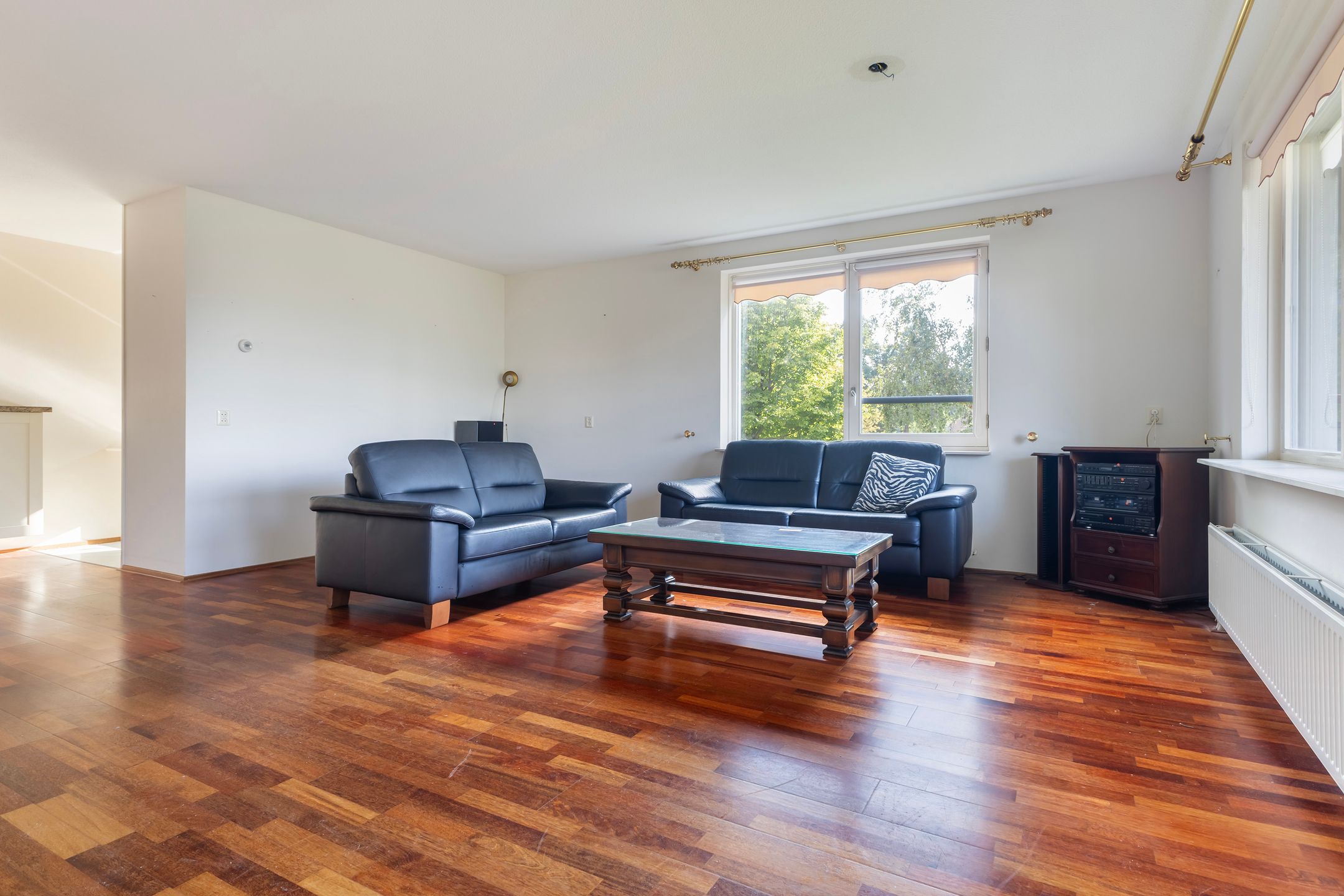 Photo 21 of Smeetsmastins 12