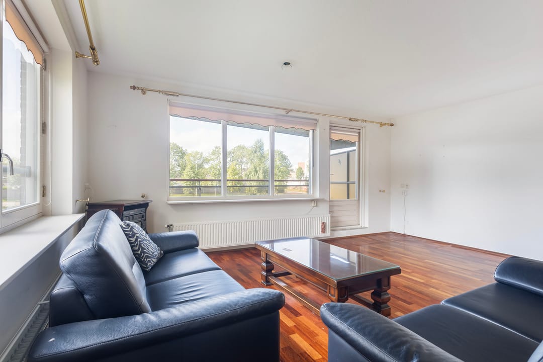 Photo 22 of Smeetsmastins 12