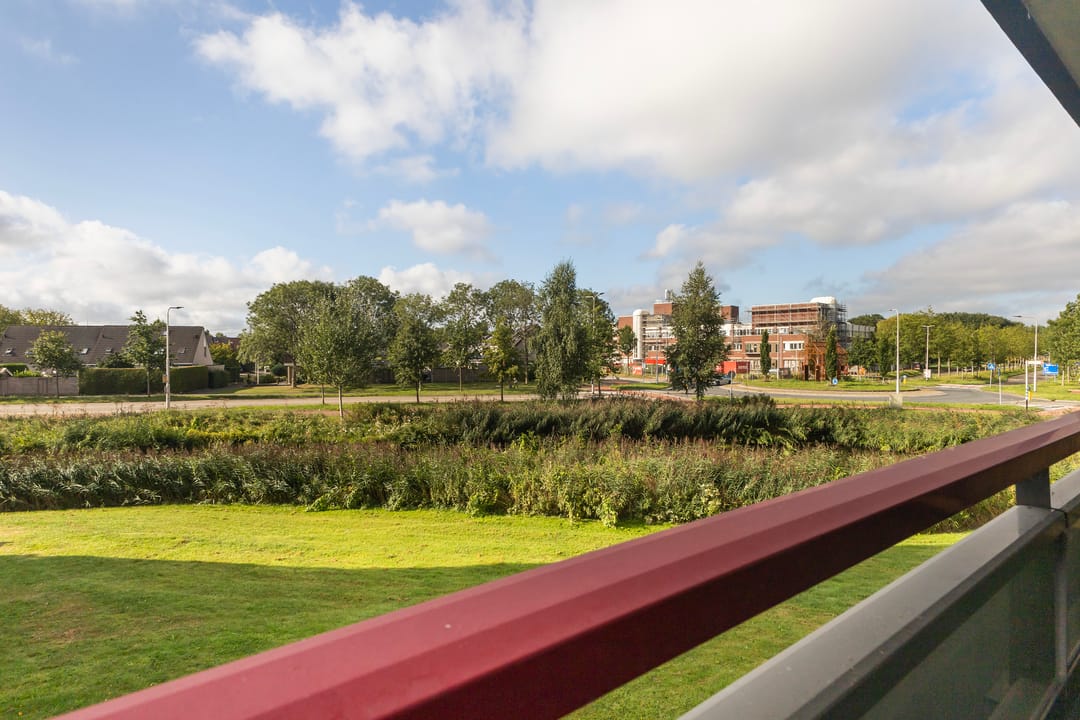 Photo 23 of Smeetsmastins 12