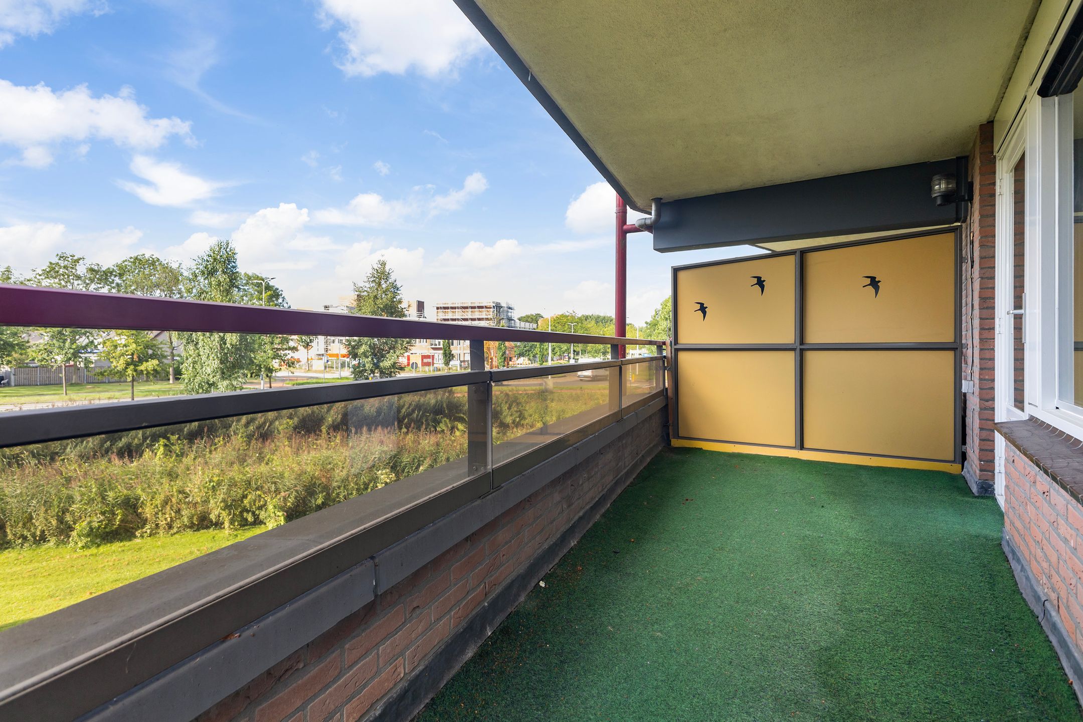 Photo 24 of Smeetsmastins 12