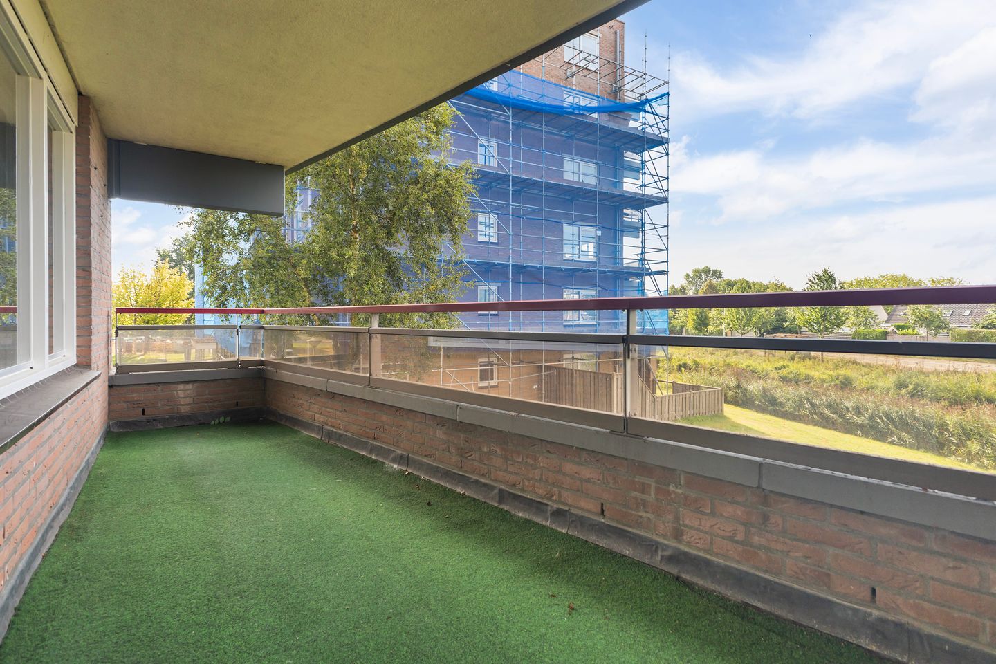 Photo 25 of Smeetsmastins 12