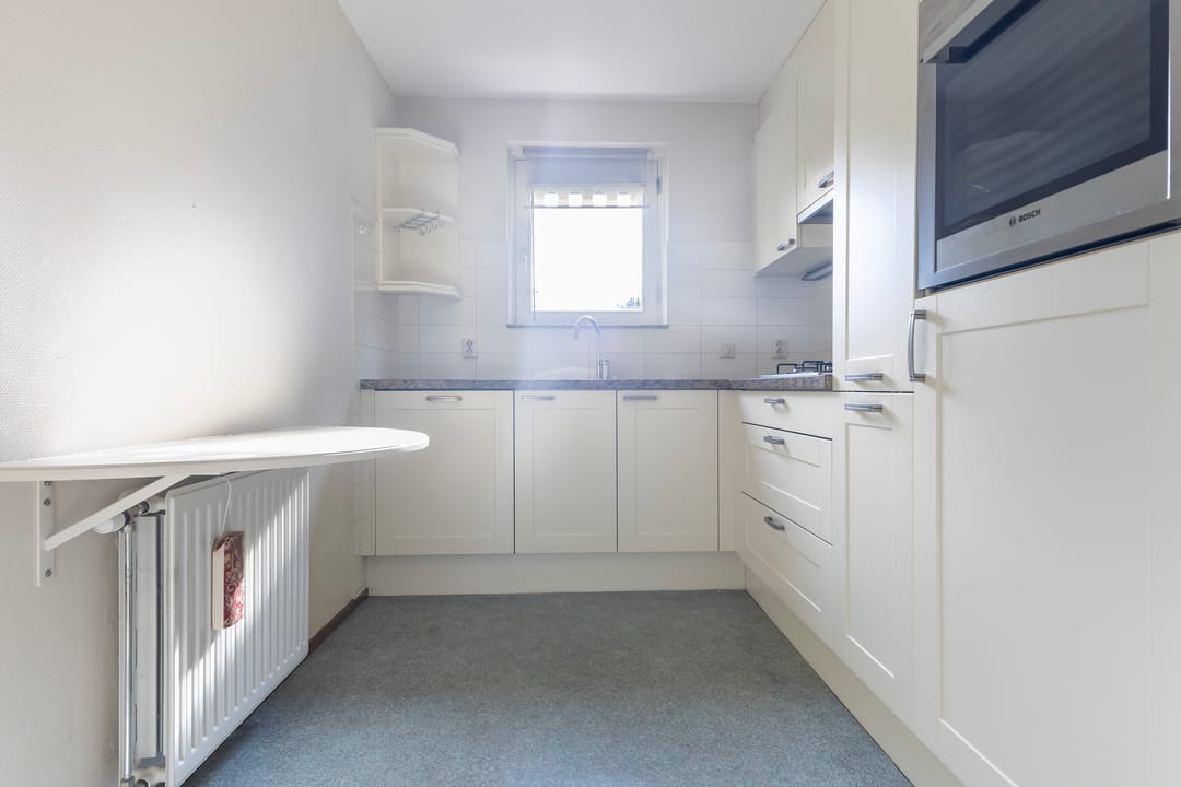 Photo 26 of Smeetsmastins 12