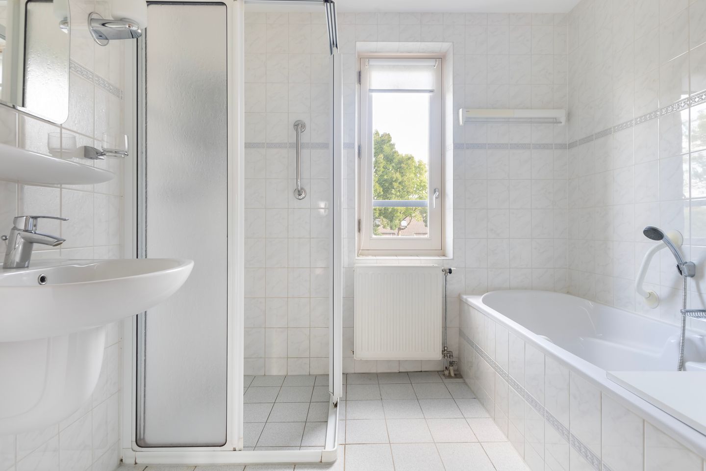 Photo 29 of Smeetsmastins 12