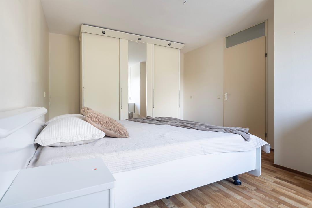 Photo 31 of Smeetsmastins 12