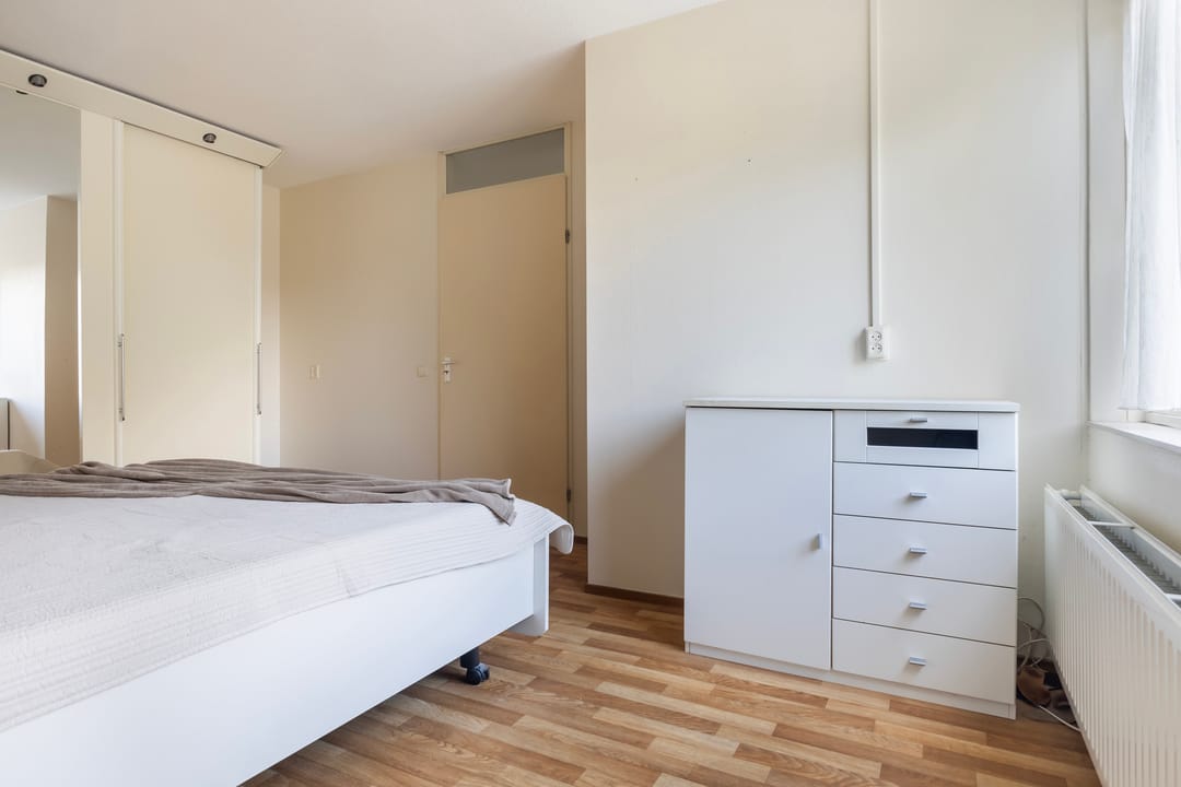 Photo 32 of Smeetsmastins 12