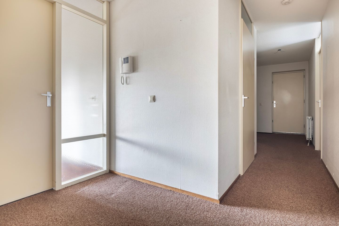 Photo 34 of Smeetsmastins 12