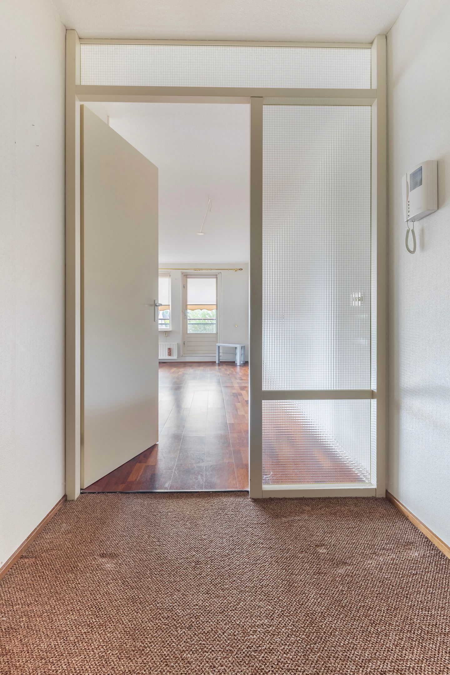 Photo 35 of Smeetsmastins 12